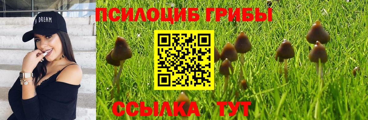 Корсаков  Галлюциногенные грибы мицелий  Вход с VPN 